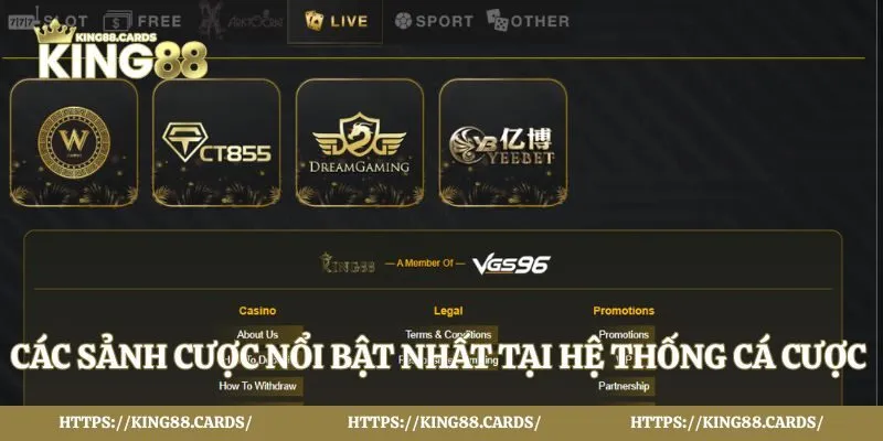 Các sảnh cược nổi bật nhất tại hệ thống cá cược