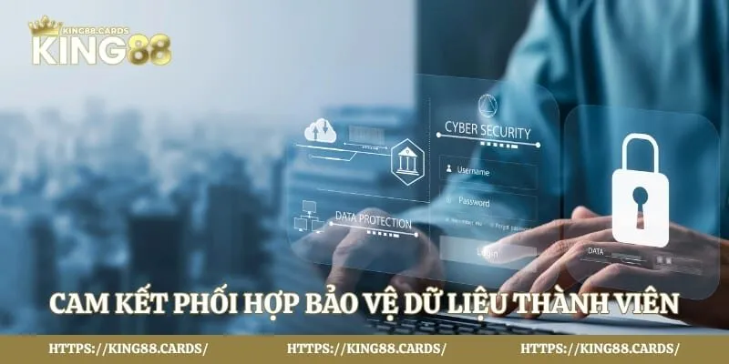 Cam kết phối hợp bảo vệ dữ liệu thành viên