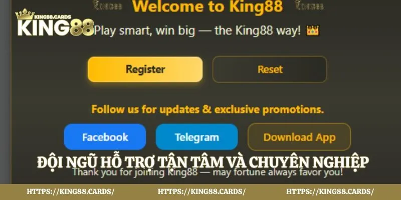 Đội ngũ hỗ trợ tận tâm và chuyên nghiệp
