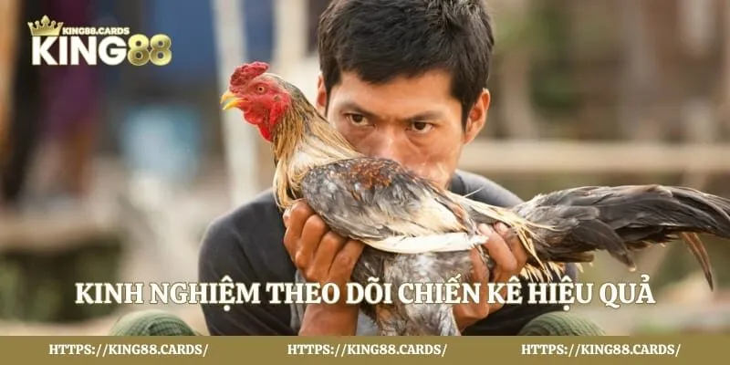 Kinh nghiệm theo dõi chiến kê hiệu quả 