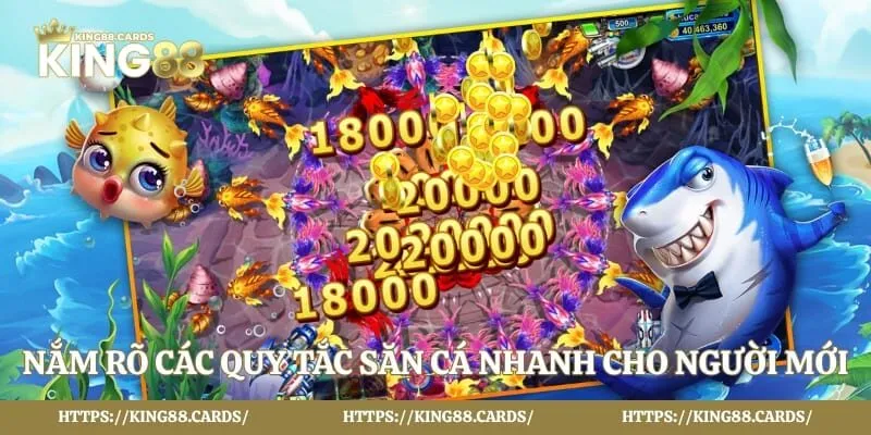 Nắm rõ các quy tắc săn cá nhanh cho người mới
