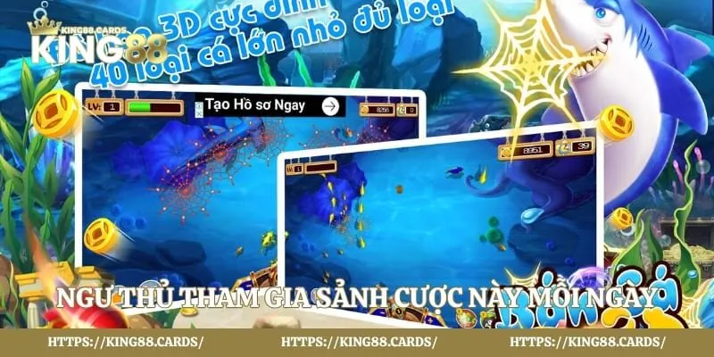 Ngư thủ tham gia sảnh cược này mỗi ngày