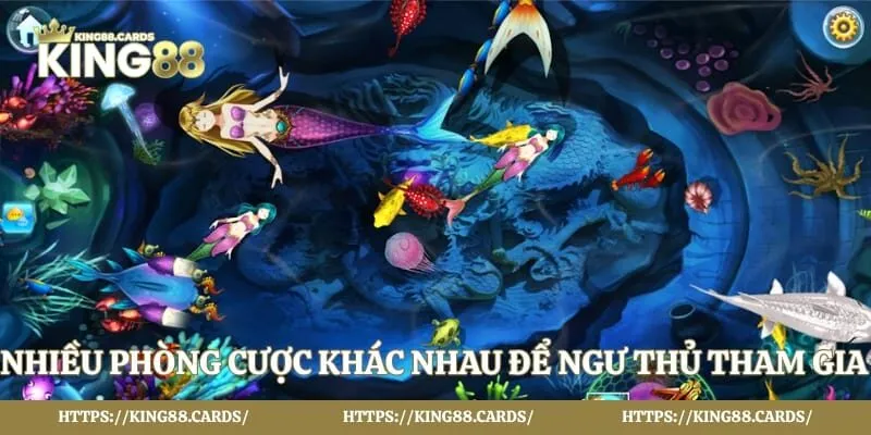 Nhiều phòng cược khác nhau để ngư thủ tham gia phù hợp