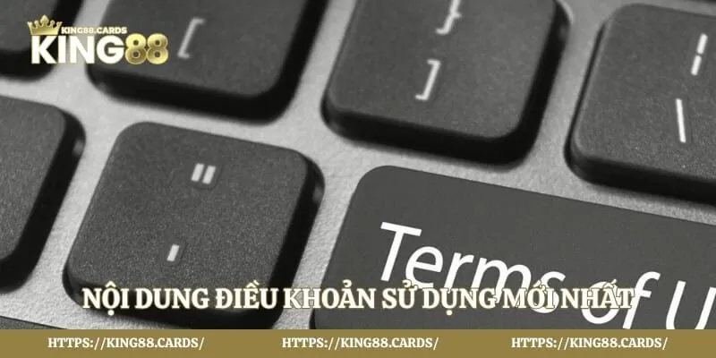 Nội dung điều khoản sử dụng mới nhất